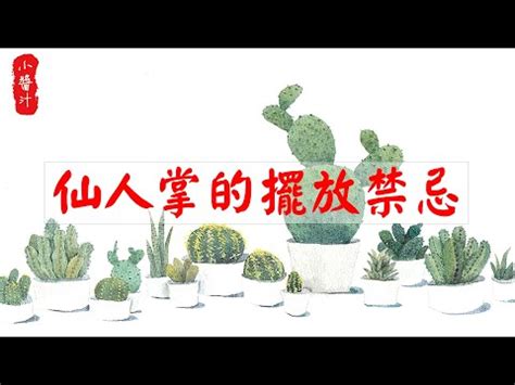 辦公室可以放仙人掌嗎|辦公室仙人掌擺放指南：破解防小人迷思，打造職場好運